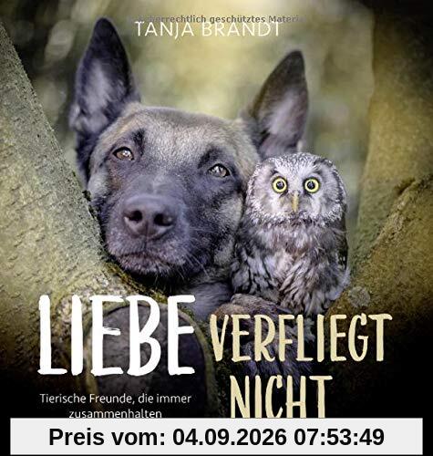 Liebe verfliegt nicht: Tierische Freunde, die immer zusammenhalten