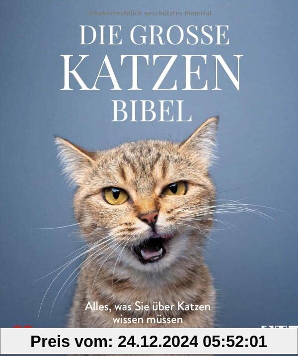 Die große Katzenbibel: Alles, was Sie über Katzen wissen müssen