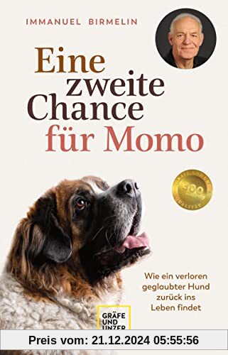 Eine zweite Chance für Momo: Wie ein verloren geglaubter Hund zurück ins Leben findet