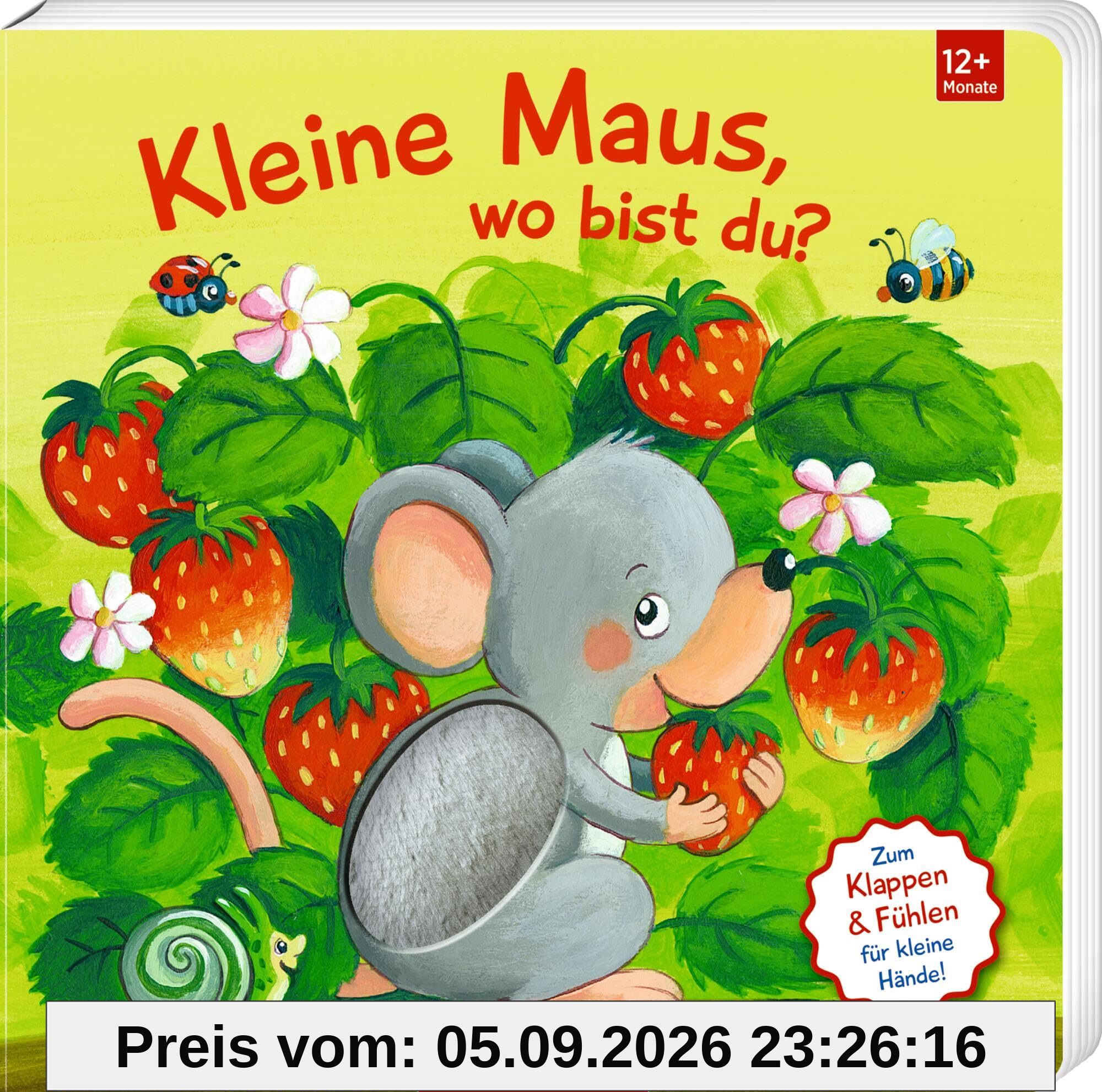 Mein erstes Guckloch-Fühlbuch: Kleine Maus, wo bist du?: Mit Fühlteilen und großen Klappen: Fühlbuch mit großen Klappen für Kinder ab 12 Monate (Fühlen und die Welt begreifen)