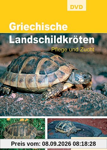 Griechische Landschildkröten - Pflege und Zucht