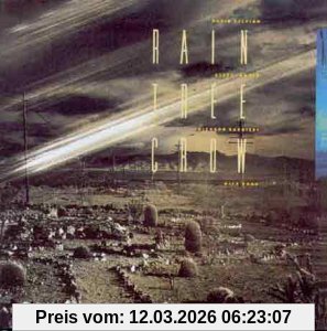 Rain Tree Crow (1991)