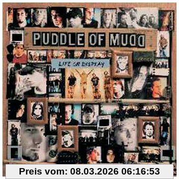 Puddle of Mudd Life On Display