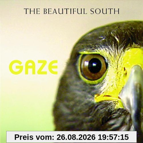 Gaze