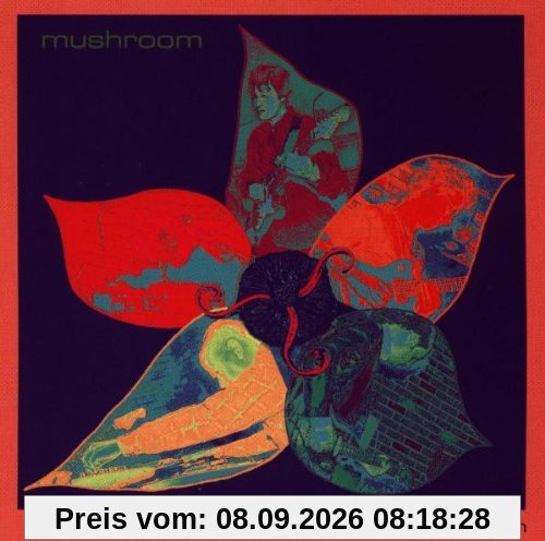Cream of Mushroom