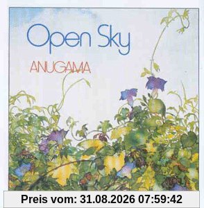Open Sky