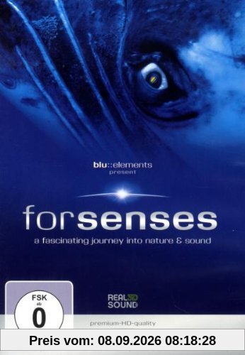 forsenses - A Fascinating Journey into Nature & Sound