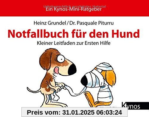 Notfallbuch für den Hund: Kleiner Leitfaden zur Ersten Hilfe