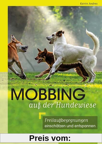 Mobbing auf der Hundewiese: Freilaufbegegnungen einschätzen und entspannen