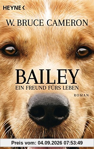 Bailey - Ein Freund fürs Leben: Ich gehöre zu dir - Buch zum Film - Roman