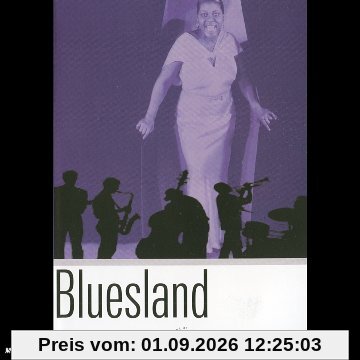 L'Histoire du Blues [FR Import]