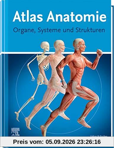 Atlas Anatomie für Laien