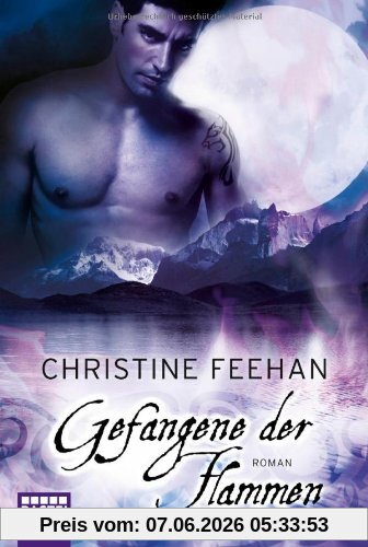 Gefangene der Flammen: Roman