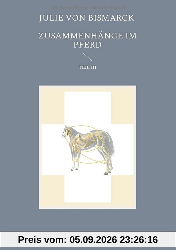Zusammenhänge im Pferd III