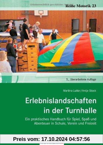 Erlebnislandschaften in der Turnhalle: Ein praktisches Handbuch für Spiel, Spaß und Abenteuer in Schule, Verein und Frei