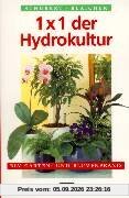 1x1 der Hydrokultur