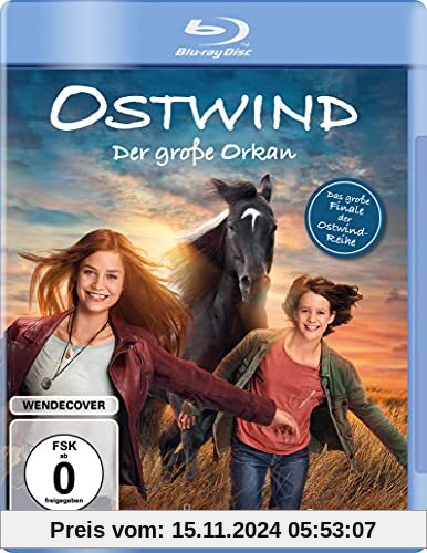 Ostwind - Der große Orkan [Blu-ray]