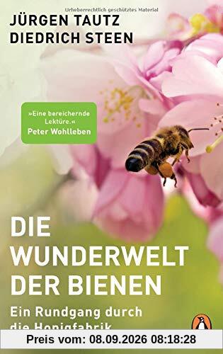 Die Wunderwelt der Bienen: Ein Rundgang durch die Honigfabrik