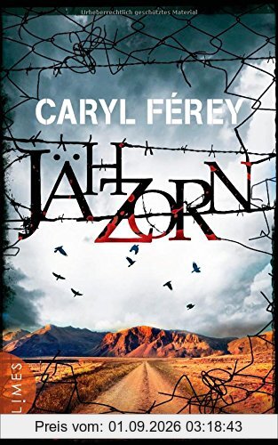 Jähzorn: Thriller