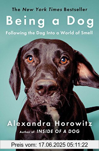 Binding : Taschenbuch, Edition : Reprint, Label : Scribner, Publisher : Scribner, NumberOfItems : 1, medium : Taschenbuch, numberOfPages : 336, publicationDate : 2017-10-17, releaseDate : 2017-10-17, authors : Alexandra Horowitz, ISBN : 1476796025