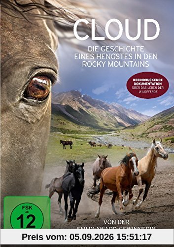 Cloud - Die Geschichte eines Hengstes in den Rocky Mountains