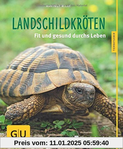 Landschildkröten: Fit und gesund durchs Leben