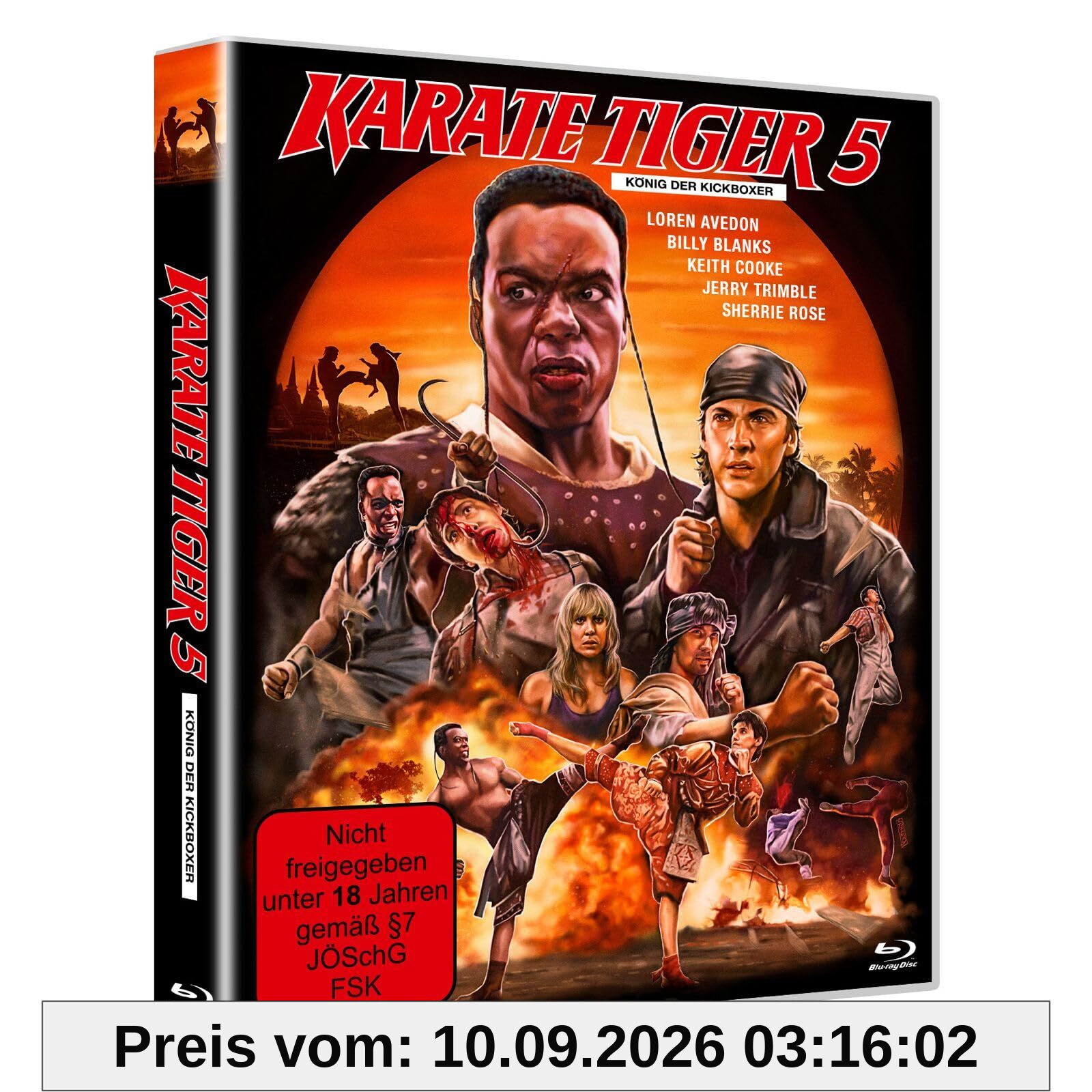 Karate Tiger 5 - König der Kickboxer - Scanavo Edition [Blu-ray]