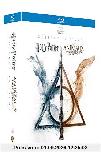 Coffret intégrale wizarding world 10 films ; harry potter 1 à 7 ; les animaux fantastiques 1 et 2 [Blu-ray] [FR Import]