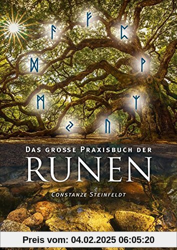 Das große Praxisbuch der Runen