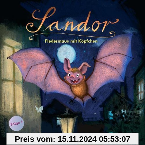 Sandor 01. Fledermaus mit Köpfchen