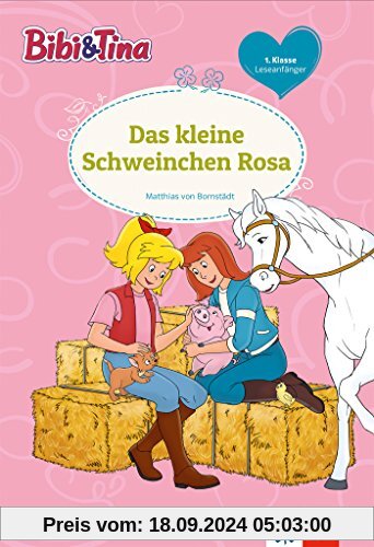 Bibi und Tina - Thema 11: Lesen lernen - 1. Klasse ab 6 Jahren (Bibi und Tina - Lesen lernen mit dem Schulbuchprofi)