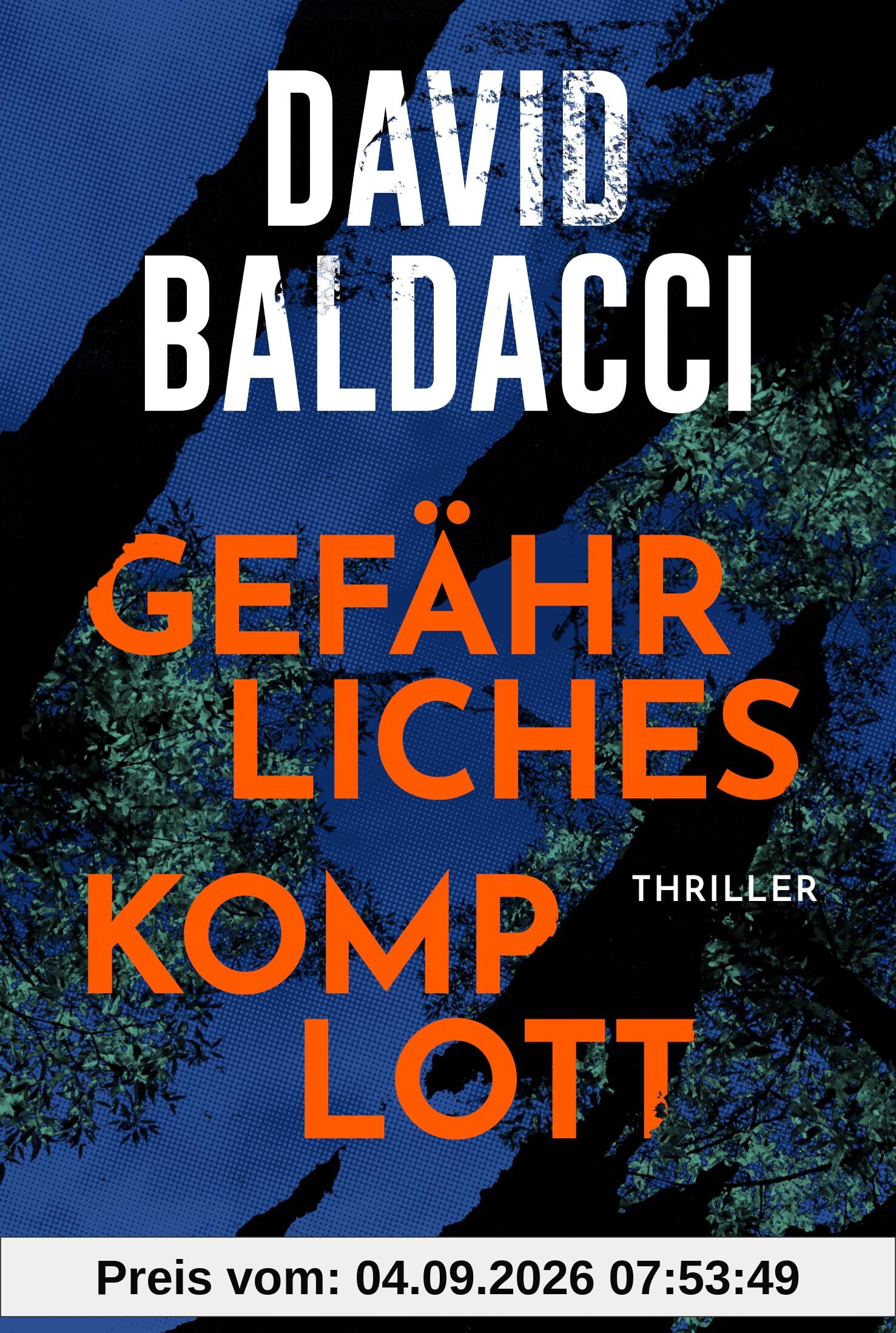 Gefährliches Komplott: Thriller. Ein gefährliches Katz-und-Maus-Spiel zwischen einer ehemaligen Polizistin und einer Betrügerin
