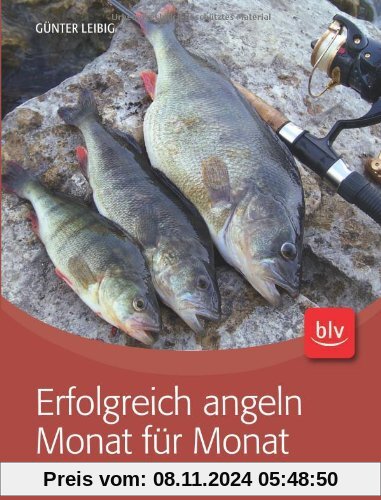 Erfolgreich angeln Monat für Monat: Beißzeiten, Tipps & Tricks, Fangplätze