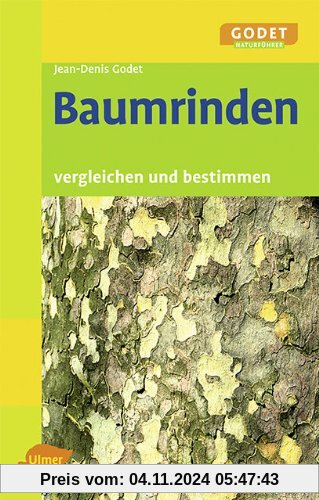 Baumrinden: Vergleichen und bestimmen