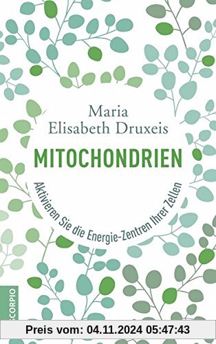 Mitochondrien: Aktivieren Sie die Energie-Zentren Ihrer Zellen