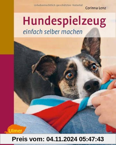 Hundespielzeug einfach selber machen