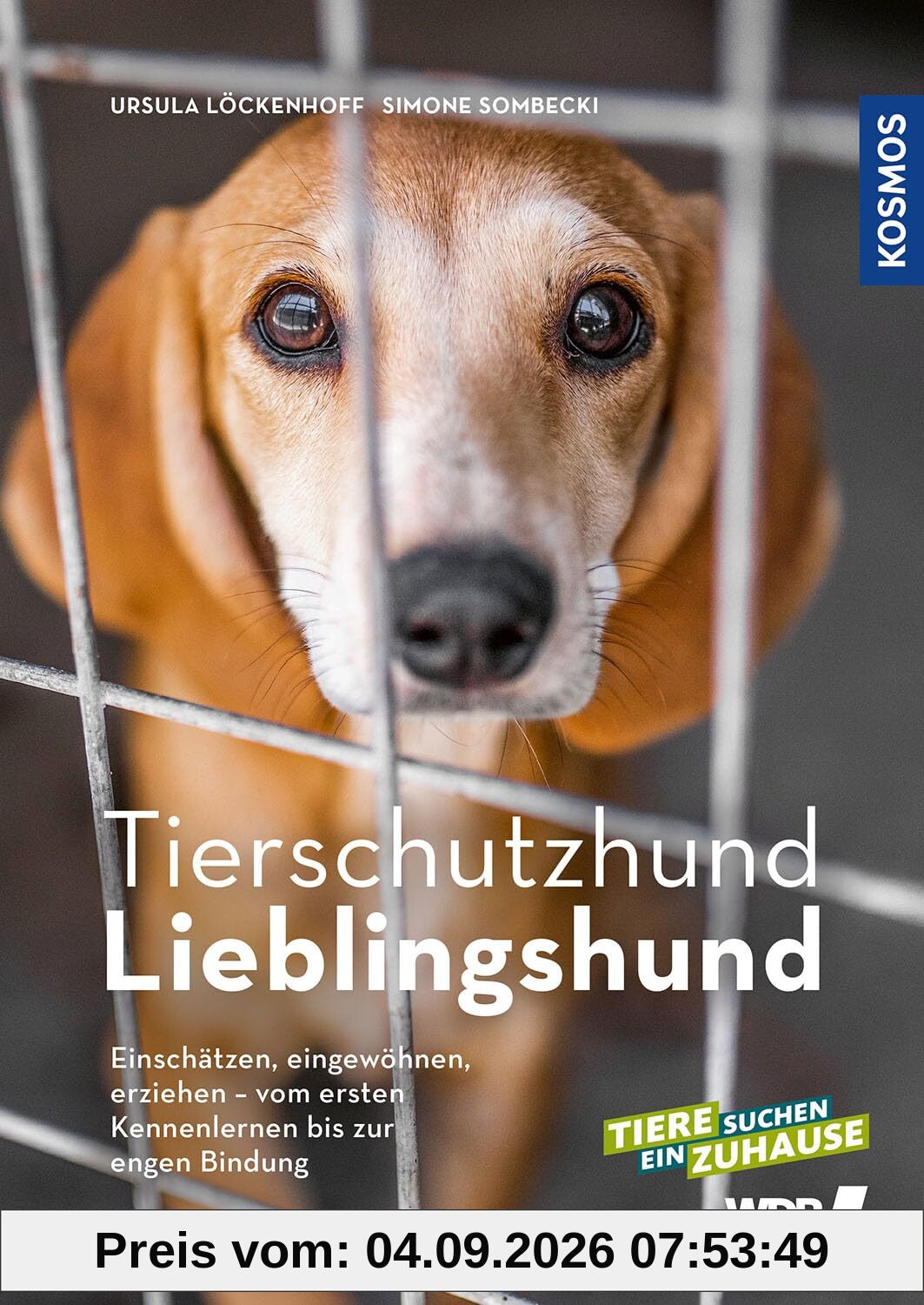 Tierschutzhund Lieblingshund: Einschätzen, eingewöhnen, erziehen - vom ersten Kennenlernen bis zur engen Bindung