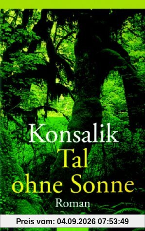 Tal ohne Sonne. Roman