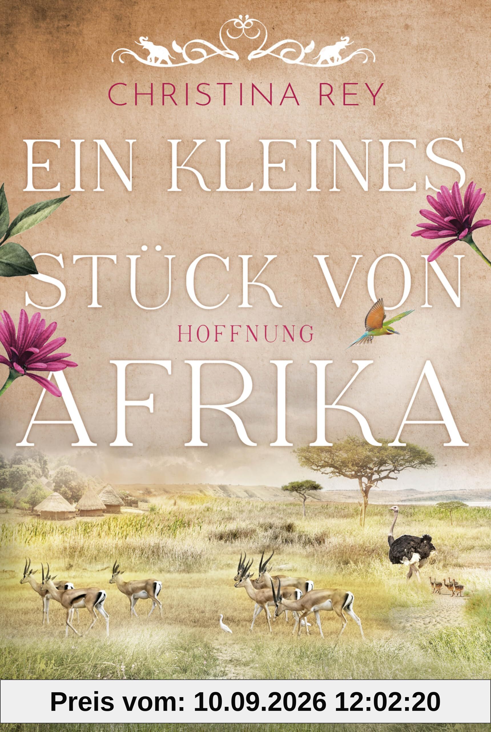 Ein kleines Stück von Afrika - Hoffnung: Roman. Eine packende Geschichte um das Schicksal einer Familie und eines Tierreservats in Kenia (Das endlose Land, Band 2)