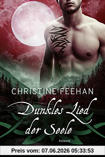 Dunkles Lied der Seele: Roman
