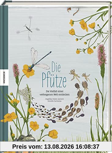 Die Pfütze: Die Vielfalt einer verborgenen Welt entdecken