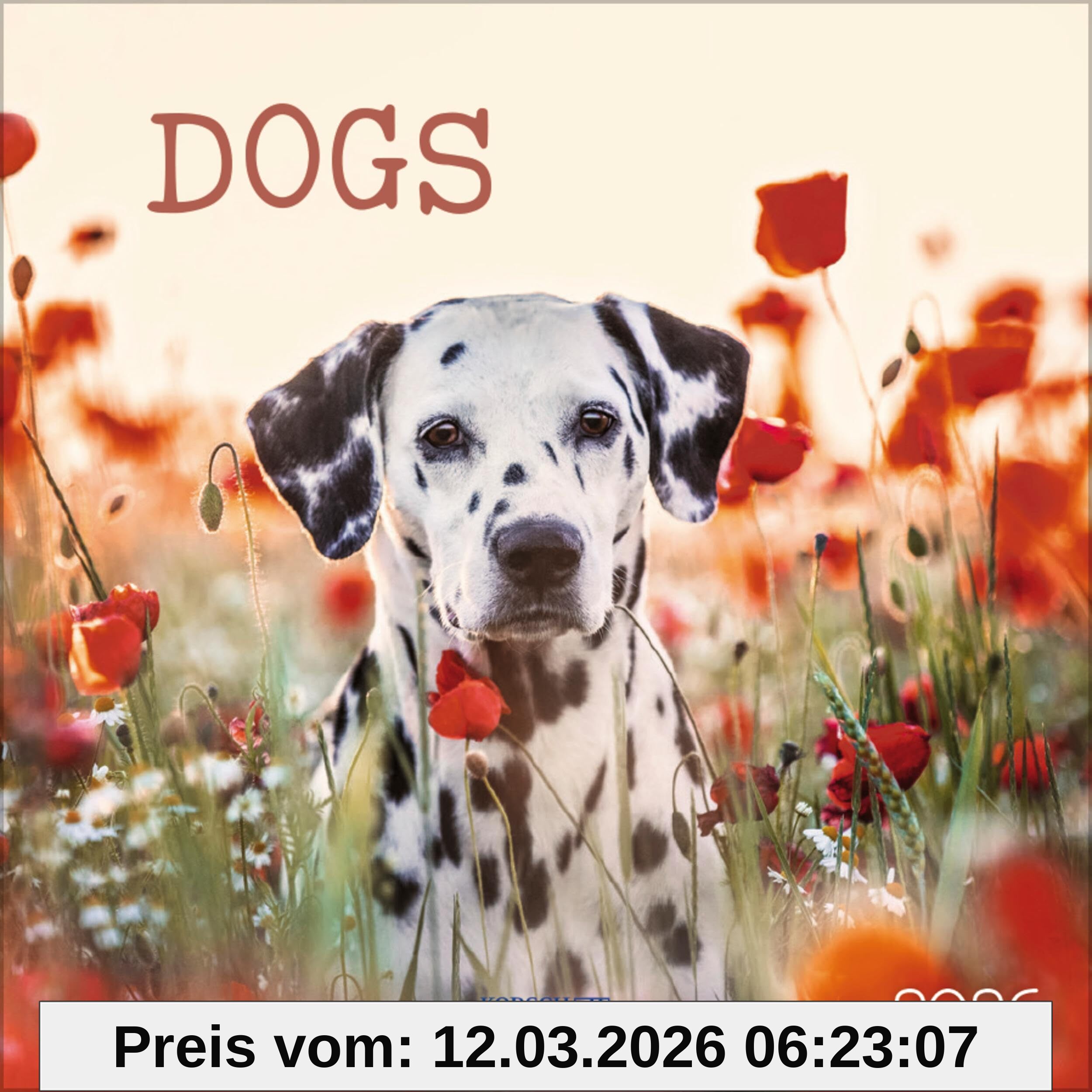 unbekannt Dogs 2026