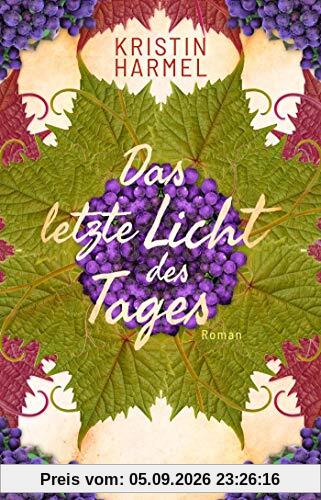 Das letzte Licht des Tages: Roman. Die dramatische Résistance-Geschichte einer französischen Familie bei Ausbruch des 2. Weltkriegs