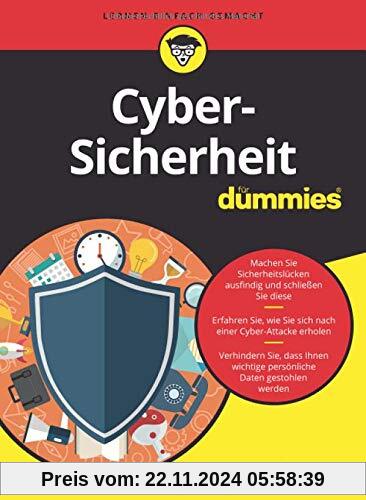 Cyber-Sicherheit für Dummies