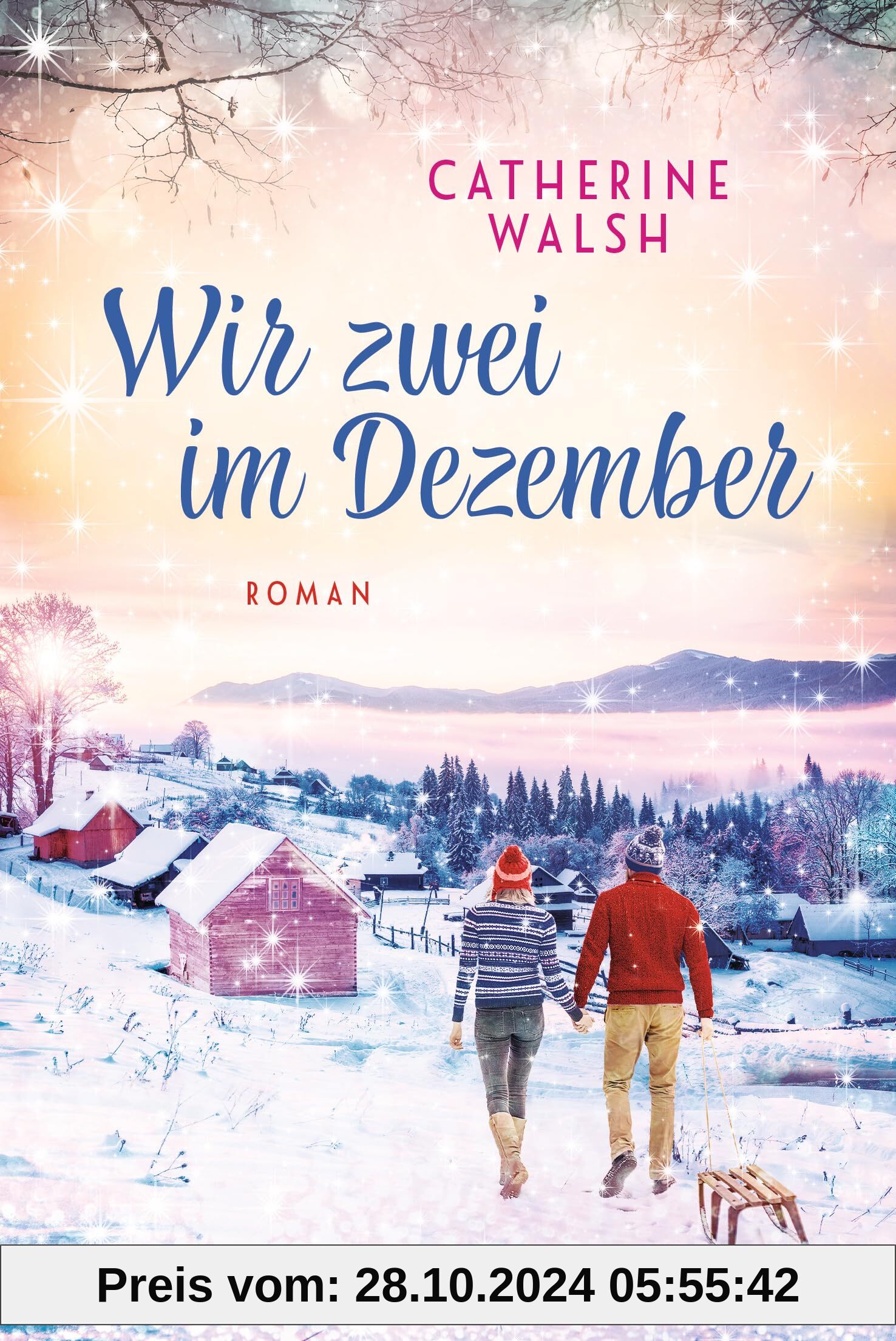 Wir zwei im Dezember: Roman