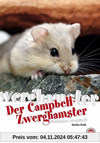 Campbell-Zwerghamster (Art für Art)