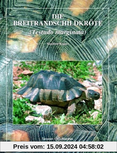 Die Breitrandschildkröte (Testudo marginata)