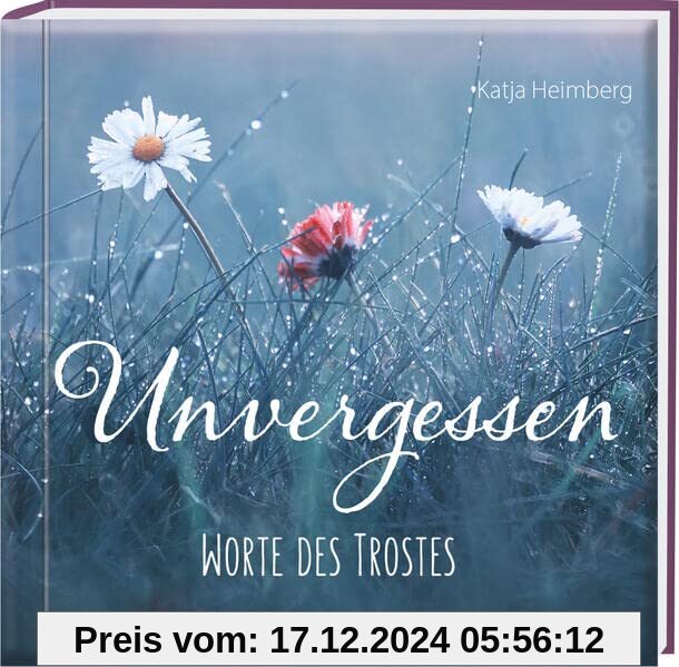 Unvergessen: Worte des Trostes