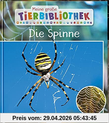Meine große Tierbibliothek: Die Spinne: Sachbuch für Vorschule & Grundschule