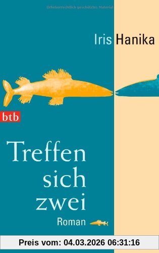 Iris Hanika Treffen Sich Zwei, Roman